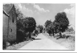 89 - NEUVY-SAUTOUR (YONNE) - ROUTE DE LA GARE - Neuvy Sautour