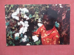Black Americana  Picking Cotton   Ref 3733 - Black Americana