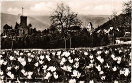 CPA AK Bad Teinach- Krokusblute GERMANY (908073) - Kaiserstuhl