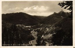 CPA AK Bad Teinach- Burgruine Zavelstein GERMANY (908102) - Kaiserstuhl