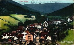 CPA AK Bad Teinach- GERMANY (908152) - Kaiserstuhl