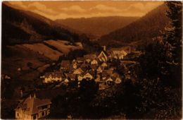 CPA AK Bad Teinach- GERMANY (908160) - Kaiserstuhl