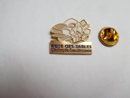 Beau Pin's En Relief , Médical , Rose Des Sables , Clinique De Convalescence , Le Teich , Gironde - Geneeskunde