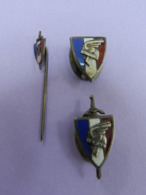 Lot De 2 Broches Et Une épinglette LEGION FRANCAISE DES COMBATTANTS - Frankreich