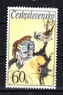 Cecoslovacchia   - 1972. Cuculo E Beccafico. Cuckoo And Warbler. - Cuckoos & Turacos