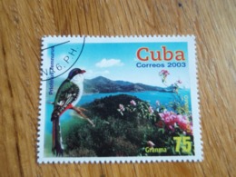 Timbre Priotelus Temnurus Trolon De Cuba 2003 - Oblitérés