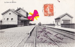 La Gare De NECHIN (avec Arrivée De La Locomotive à Vapeur) - Estaimpuis