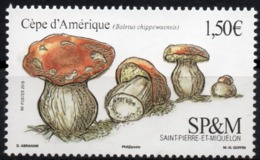 St Pierre Et Miquelon 2019 - Champignons, Cèpe D’Amérique - Neuf // Mnh - Nuevos