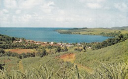 Martinique, Trinité, La Ville Et Le Port - La Trinite