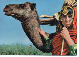 Afghanistan Animée Jeune Fille Nomade Chameau - Afghanistan