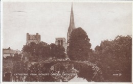 Chicester - Cathedral From Bishop's Garden - Chichester