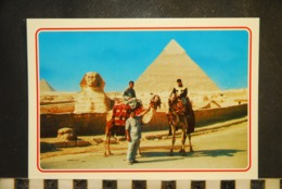 CP  EGYPT , GIZA  Camel Driver Near The Sphinx And Khafre Pyramid - Gizeh