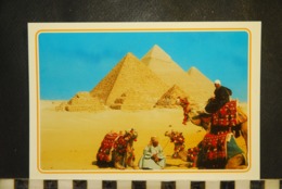 CP, EGYPT,  GIZA  The Pyramids - Gizeh