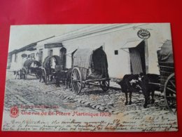 UNE RUE DE ST PIERRE MARTINIQUE 1902 - Autres & Non Classés