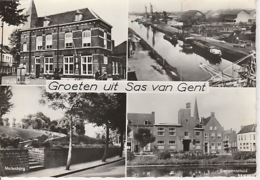 19 / 11 / 412  -   GROETEN      UIT    SAS  VAN  GENT  -  C P. M - Sas Van Gent