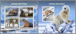 TOGO 2019 MNH Arctic Oceans Arktische Tierwelt Ocean Arctique M/S+S/S - OFFICIAL ISSUE - DH1946 - Arctic Wildlife