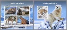 TOGO 2019 MNH Arctic Oceans Arktische Tierwelt Ocean Arctique M/S+S/S - IMPERFORATED - DH1946 - Arctic Wildlife