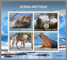 TOGO 2019 MNH Arctic Oceans Arktische Tierwelt Ocean Arctique M/S - IMPERFORATED - DH1946 - Arctic Wildlife