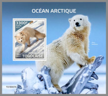 TOGO 2019 MNH Arctic Oceans Arktische Tierwelt Ocean Arctique S/S - IMPERFORATED - DH1946 - Arctic Wildlife