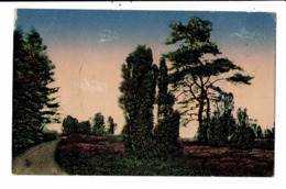 CPA-Carte Postale-Germany-Schleswig-Holstein -Heide -GruB Aus Der Heide 1918-VM9418 - Heide