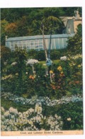 UK-3246   VENTNOR : Crab & Lobster Hotel Gardens - Ventnor