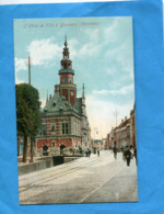 NEDERLAND-BOLSWARD-Hotel De Ville-rue Animée -années 1900 - Bolsward