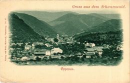 CPA AK Gruss Aus Oppenau GERMANY (933482) - Oppenau