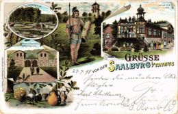 CPA AK Grusse Von Der Saalburg GERMANY (934339) - Saalburg