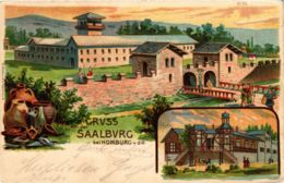 CPA AK Gruss Von Der Saalburg GERMANY (934345) - Saalburg