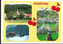 Dourd'hal édition ASL Dourd'hal Saint Avold Quartier - Saint-Avold