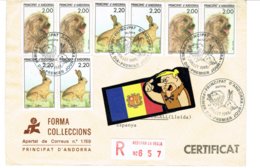 ANDORRE ENVELOPPE CIRC. 1988 AVEC 4 STS YVERT 373-74 - Covers & Documents