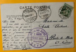9248 - Cachet Hôtel Des Alpes Vevey 20.08.1905 Sur Carte Postale Lac Léman - Brieven En Documenten