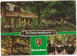 Bennekom - Pannekoek- En Poffertjeshuis 'De Panoramahoeve', Dikkenbergweg / Panoramaweg - (Paarden) - Ede