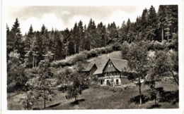 Allemagne -Naturfreundehaus Nordrach Ernsbach Am Mooskopf - Hochschwarzwald