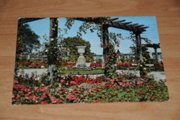 965-      INSEL MAINAU, ROSENGARTEN - Konstanz