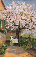 Carte Postale Envoi  De Diekirch  Art Card  Maison  Cerisier En Fleur  Printemps - Diekirch