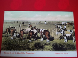 RECUERDO DE LA REPUBLICA ARGENTINA ESTANCIA UN CORRAL - Argentinien