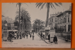 Hyères - Avenue Des Palmiers - Hyeres