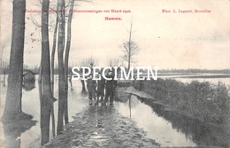 Overstromingen Van Maart 1906 - Hamme - Hamme