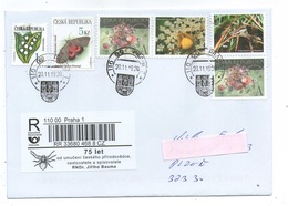 Czech Republic 2019 - Nice Czech Naturlist And Entomologist Dr. Baum, Special Registered Label, Spec.cupon - Araignées