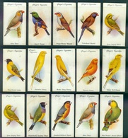 Set Aviary And Cage Birds, Série Oiseaux De Cage, 15/50 John Player Cigarette Cards, Vintage - Player's