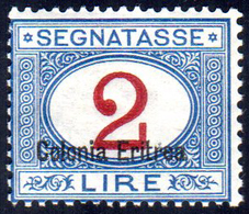 SEGNATASSE 1925 - 2 Lire Soprastampato In Basso (22), Gomma Integra, Perfetto. Fresco! Cert. Sorani.... - Eritrea