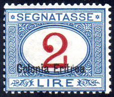 SEGNATASSE 1925 - 2 Lire Soprastampato In Basso (22), Gomma Integra, Perfetto. Fresco! Cert. Sorani.... - Erythrée