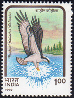 INDIA 1992 - 1 R. Pandion Haliaetus, Serie Uccelli, Errore Di Cifra 1 Anziché 2 (S.G.N. 1525a), Nuov... - Otros & Sin Clasificación