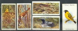 John Player Cigarette Cards, Birds Oiseaux  -    Mixed / Vintage - Player's
