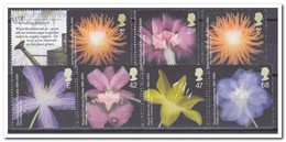 Engeland 2004, Postfris MNH, Flowers - Unused Stamps