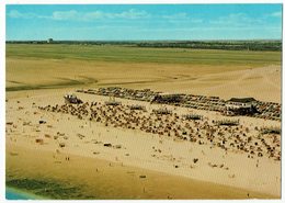 Deutschland, St. Peter-Ording - St. Peter-Ording