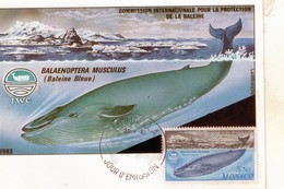 Monaco Carte Maximom Commission Internationale Pour La Protection De La Baleine (27-4-83) - Lettres & Documents