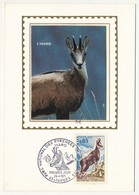 FRANCE - Carte / Soie - Izard - Parc National Des Pyrénées - TARBES - 24 Avril 1971 - 1970-1979