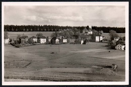 C9818 - TOP Wernitzgrün Markneukirchen - Gerhard Dick Erlbach - Markneukirchen